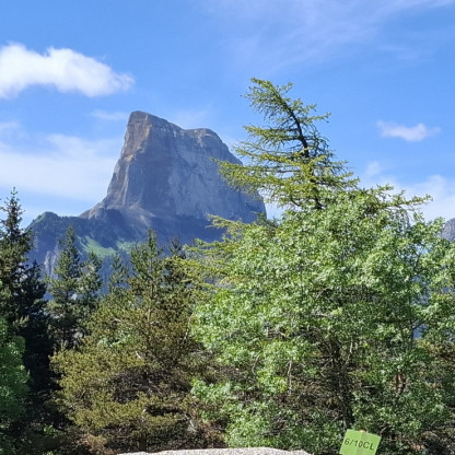 Randonnée du Mt Aiguille